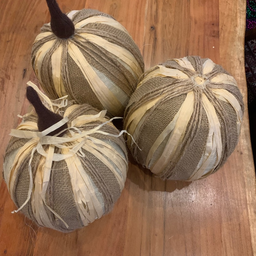 Pottery Barn Burlap Pumpkins - Brown and Cream